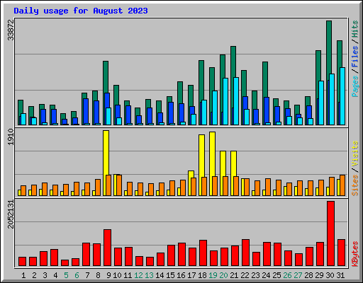 Daily usage for August 2023