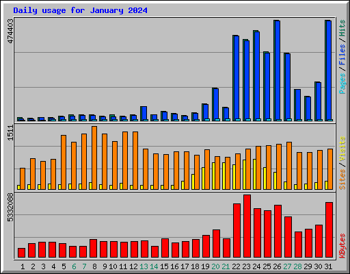 Daily usage for January 2024