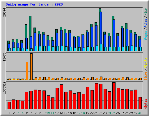 Daily usage for January 2026