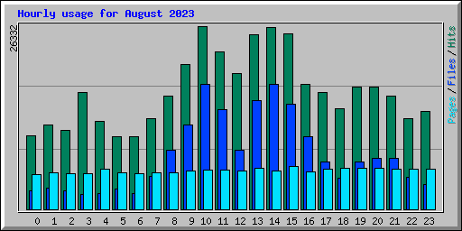 Hourly usage for August 2023