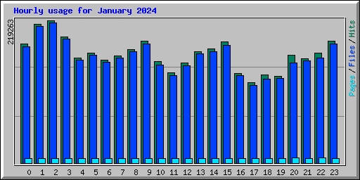 Hourly usage for January 2024