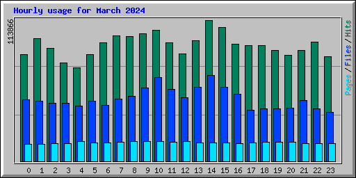 Hourly usage for March 2024