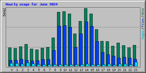 Hourly usage for June 2024