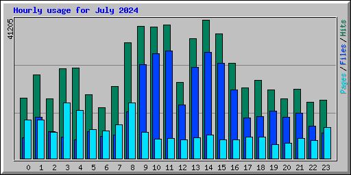 Hourly usage for July 2024