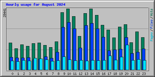 Hourly usage for August 2024