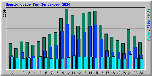 Hourly usage for September 2024