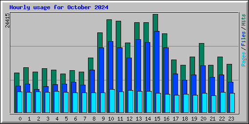 Hourly usage for October 2024