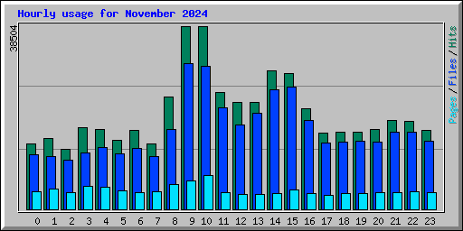 Hourly usage for November 2024