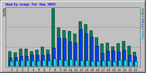 Hourly usage for May 2025