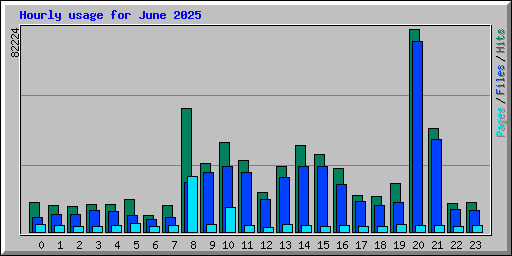 Hourly usage for June 2025
