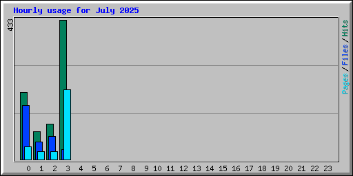 Hourly usage for July 2025