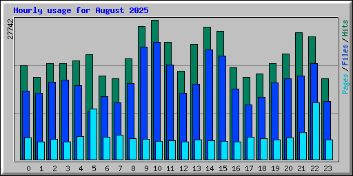 Hourly usage for August 2025