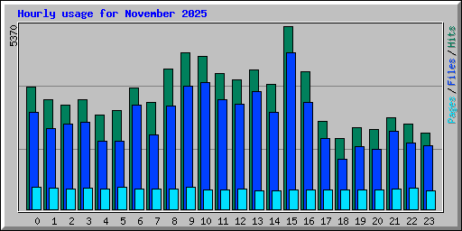Hourly usage for November 2025