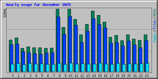 Hourly usage for December 2025