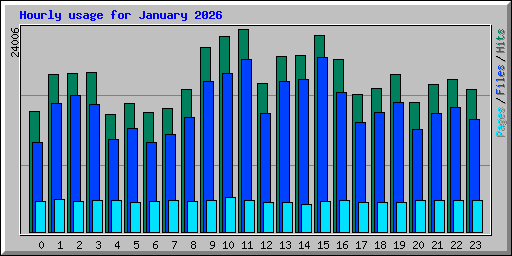 Hourly usage for January 2026